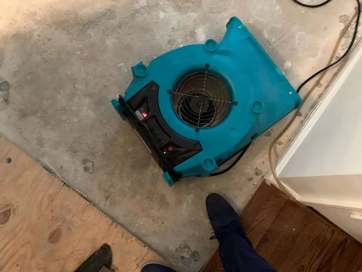 Air mover drying subfloor during Leak Detection & Repair in Felida